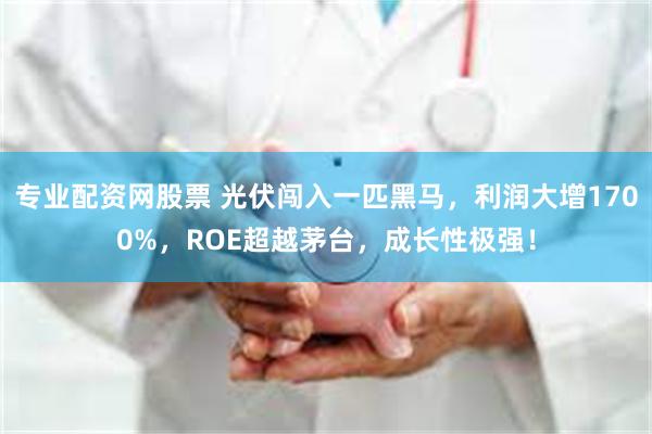 专业配资网股票 光伏闯入一匹黑马，利润大增1700%，ROE超越茅台，成长性极强！