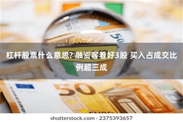 杠杆股票什么意思? 融资客看好3股 买入占成交比例超三成