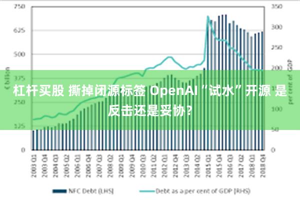 杠杆买股 撕掉闭源标签 OpenAI“试水”开源 是反击还是妥协？
