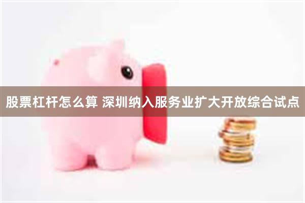 股票杠杆怎么算 深圳纳入服务业扩大开放综合试点