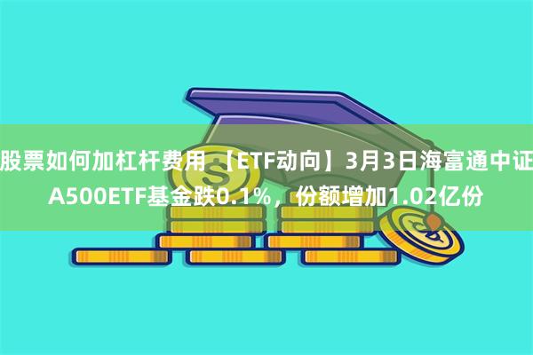 股票如何加杠杆费用 【ETF动向】3月3日海富通中证A500ETF基金跌0.1%，份额增加1.02亿份