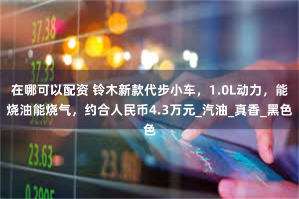在哪可以配资 铃木新款代步小车，1.0L动力，能烧油能烧气，约合人民币4.3万元_汽油_真香_黑色