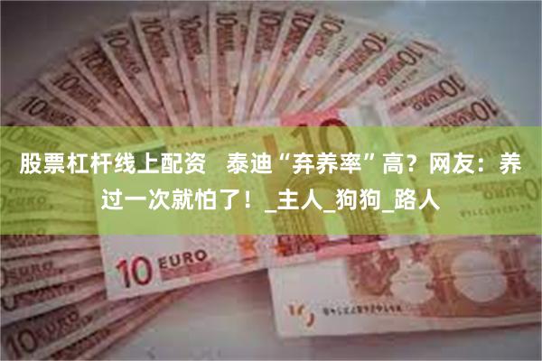 股票杠杆线上配资   泰迪“弃养率”高？网友：养过一次就怕了！_主人_狗狗_路人