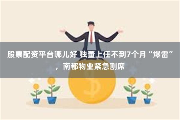 股票配资平台哪儿好 独董上任不到7个月“爆雷”，南都物业紧急割席