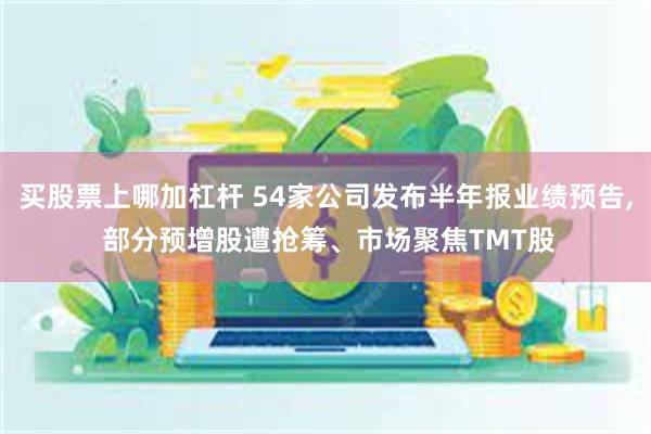 买股票上哪加杠杆 54家公司发布半年报业绩预告, 部分预增股遭抢筹、市场聚焦TMT股