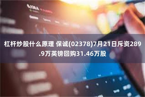 杠杆炒股什么原理 保诚(02378)7月21日斥资289.9万英镑回购31.46万股