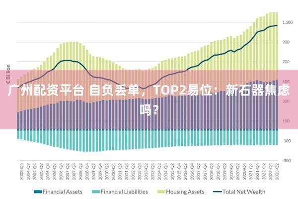 广州配资平台 自负丢单,TOP2易位:新石器焦虑吗?